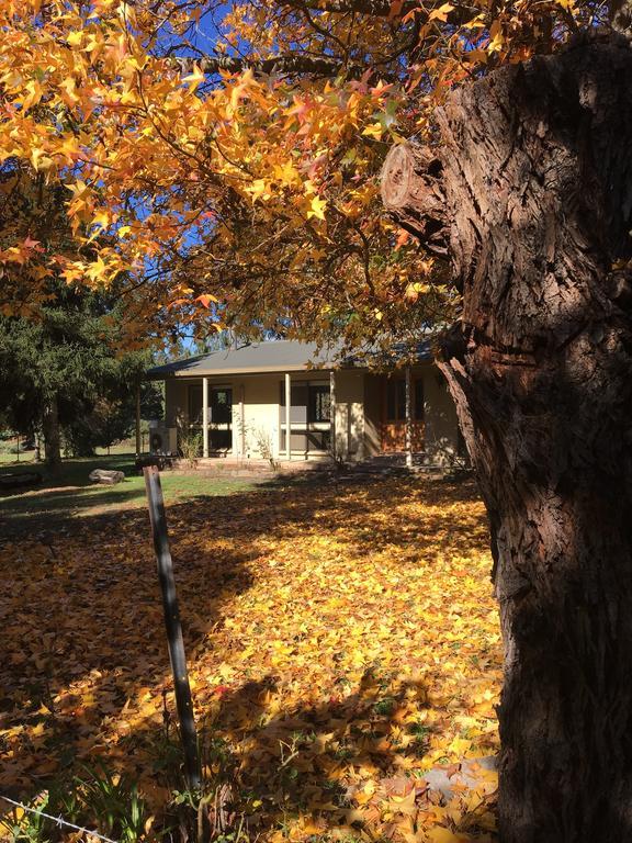 The Rocks Apartments Halls Gap Exterior foto