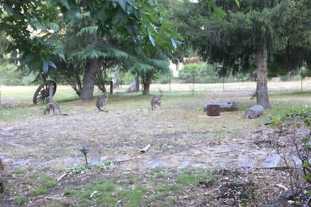 The Rocks Apartments Halls Gap Exterior foto